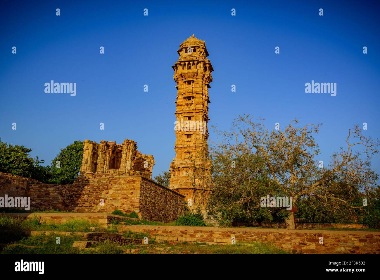 Vijaya Stambha 'monumento della vittoria' costruito dal re di Mewar Rana Kumbha nell'anno 1448 al forte di Chittorgarh nel Rajasthan, India per commemorare la vittoria o Foto Stock