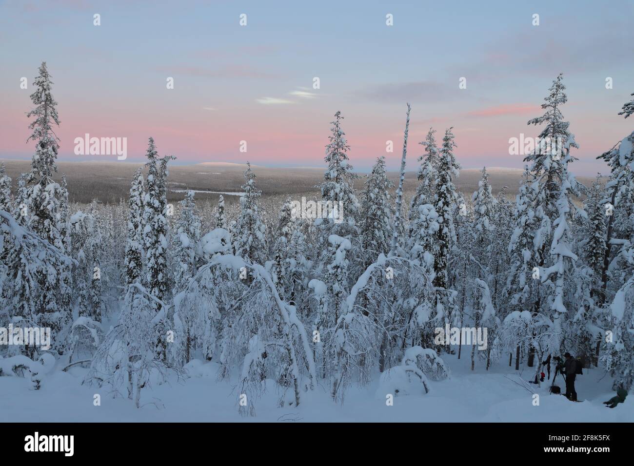 Paesaggio invernale con cielo colorato in Lapponia finlandese Foto Stock