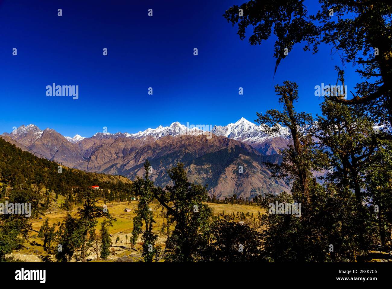 Ipnotizzante vista delle cime dei Panchchuli ricoperte di neve, si trova nella grande catena montuosa dell'Himalaya e nei prati alpini della piccola frazione Munsiyari, Kumaon r Foto Stock