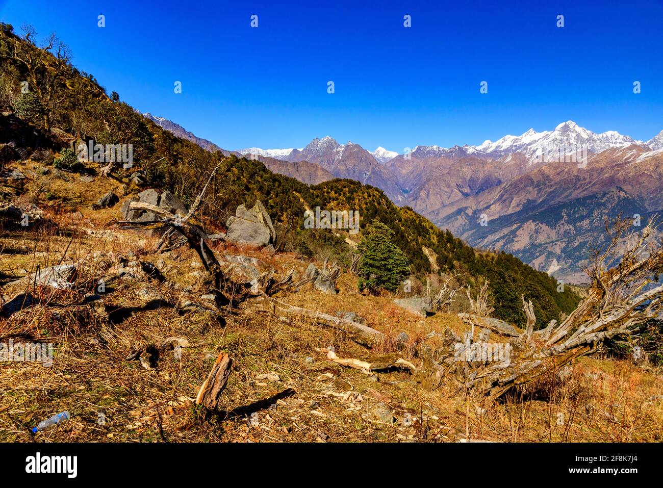 Questa è la vista delle vette dell'Himalaya e del paesaggio alpino durante l'autunno dalla cima del sentiero Khalia a Munsiyari. La cima Khalia si trova ad un'altitudine di 3500m h. Foto Stock