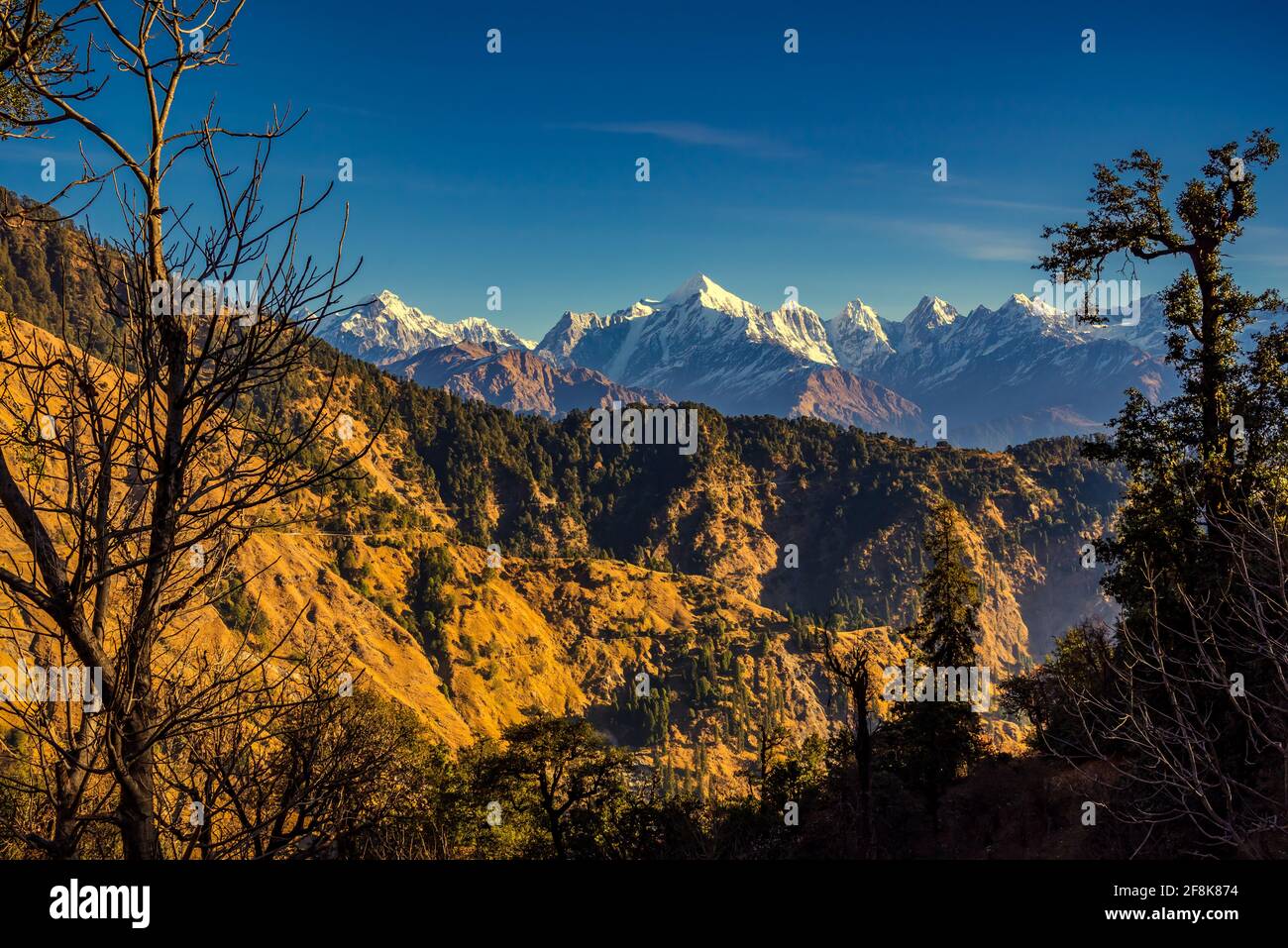 Vista delle cime innevate dei Panchchuli nella grande Himalaya La catena montuosa e i prati alpini si snoda verso Khalia Top sentiero trekk alla piccola hamle Foto Stock