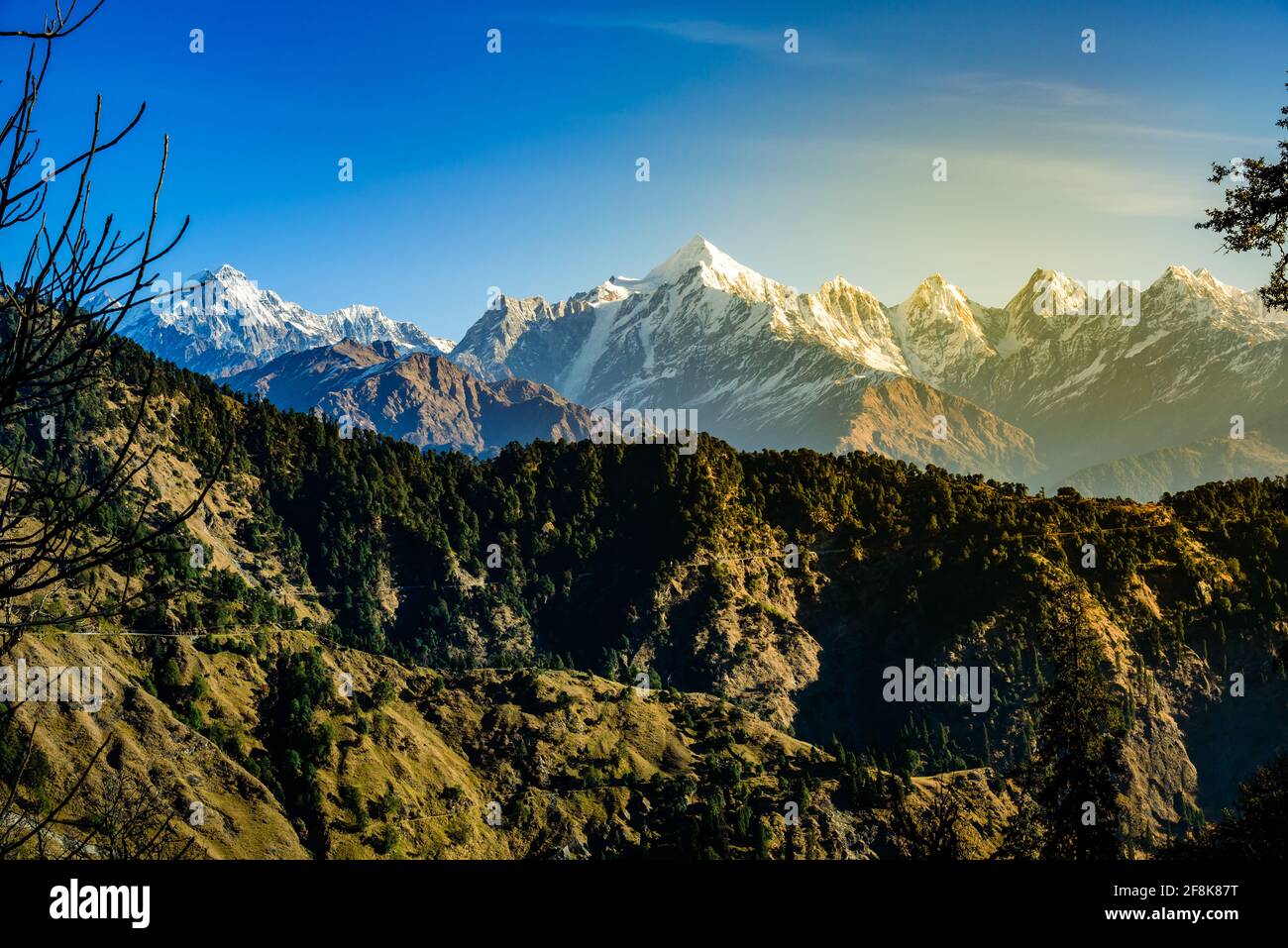 Vista delle cime innevate dei Panchchuli nella grande Himalaya La catena montuosa e i prati alpini si snoda verso Khalia Top sentiero trekk alla piccola hamle Foto Stock