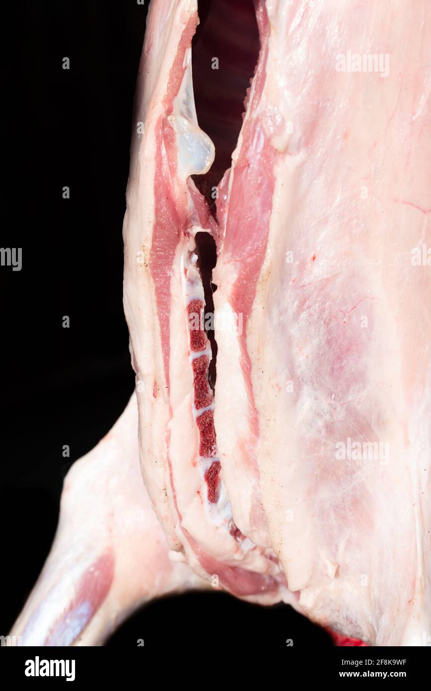 Dettaglio di un agnello macellato in modo tradizionale, con pelle e appeso di fronte ad uno sfondo scuro. L'animale è stato diviso lungo la spina dorsale Foto Stock