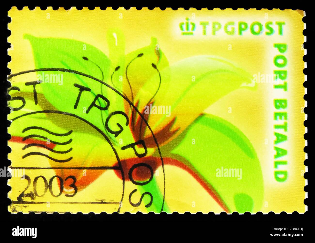 MOSCA, RUSSIA - 7 OTTOBRE 2019: Francobollo stampato in Olanda mostra Lily - TNT Post, Port Betaald serie, circa 2003 Foto Stock
