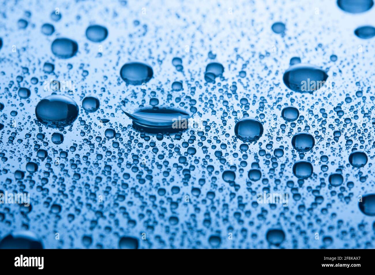 Lente a contatto con gocce su sfondo blu lucido. Foto Stock