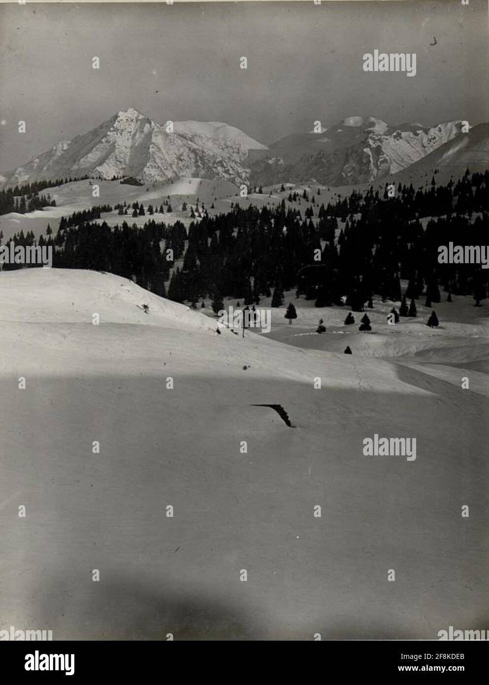 Panorama: Punto di vista Plaut Est (seconda partecipazione a wk1 alb083 24370A). Foto Stock