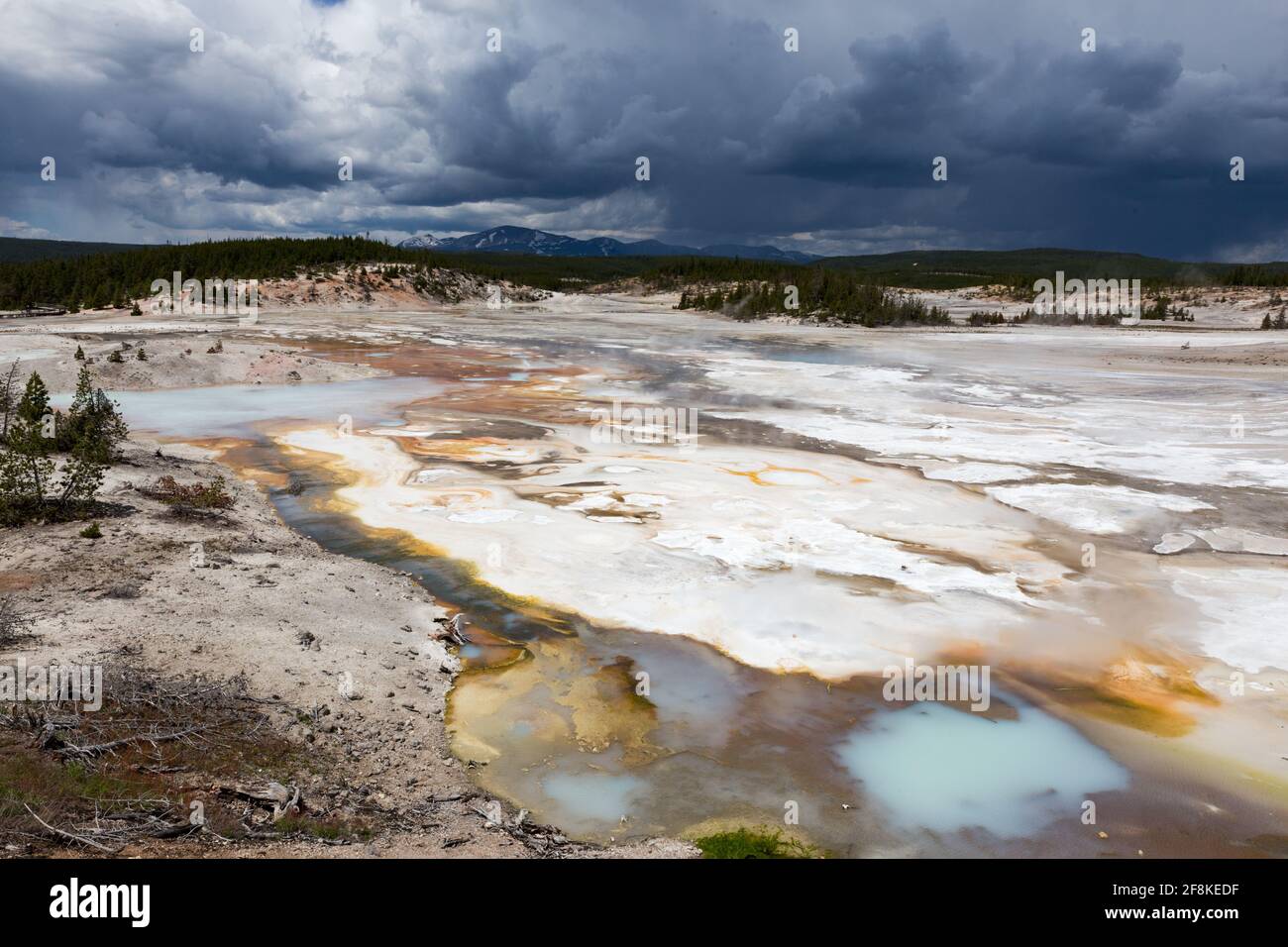 Le sorgenti termali e i geyser si riscaldano sotto un cielo tempestoso nel parco nazionale di Yellowstone. Foto Stock