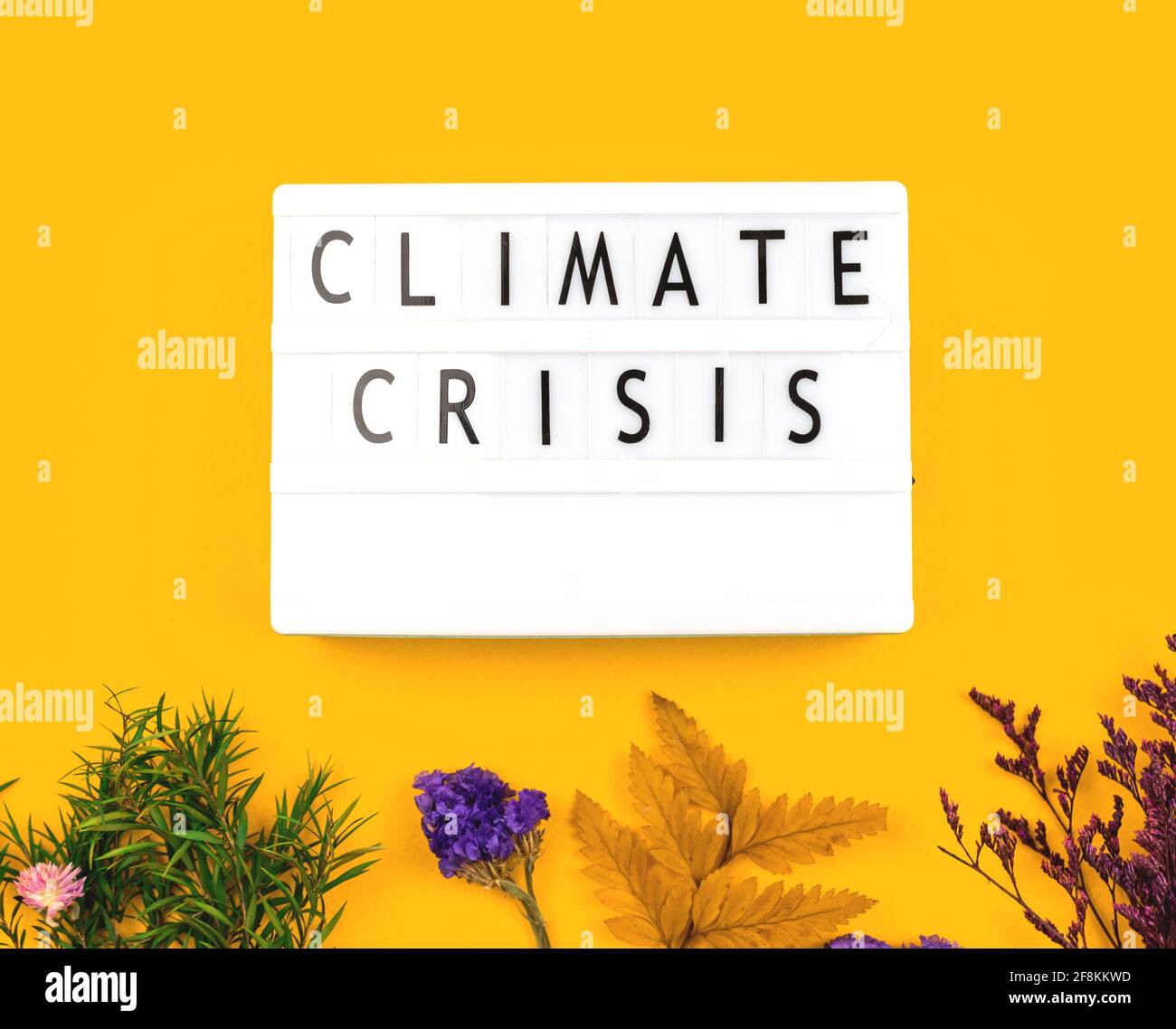 Clima crisi Concept sfondo con fiori secchi, posa piatta e vista dall'alto foto Foto Stock