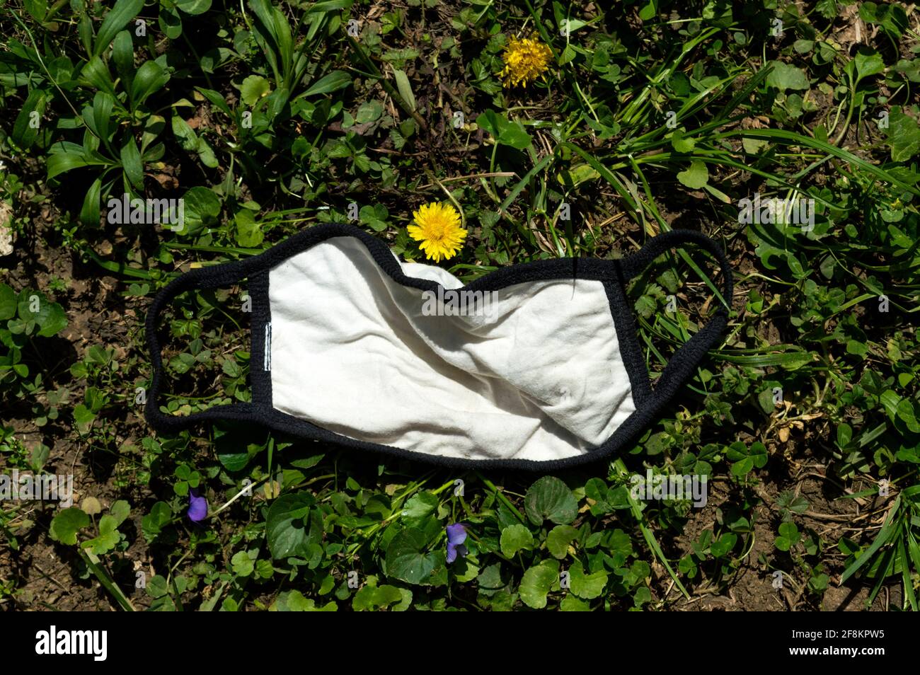 Colpo orizzontale di una maschera di tessuto da pandemia intossicchiata erba Foto Stock