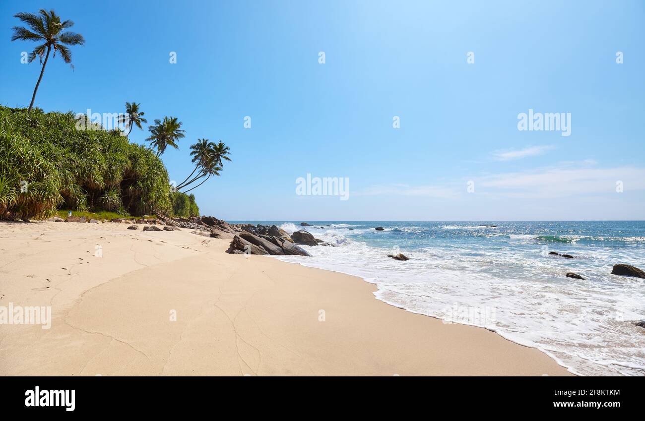 Spiaggia tropicale in una bella giornata di sole, Sri Lanka. Foto Stock
