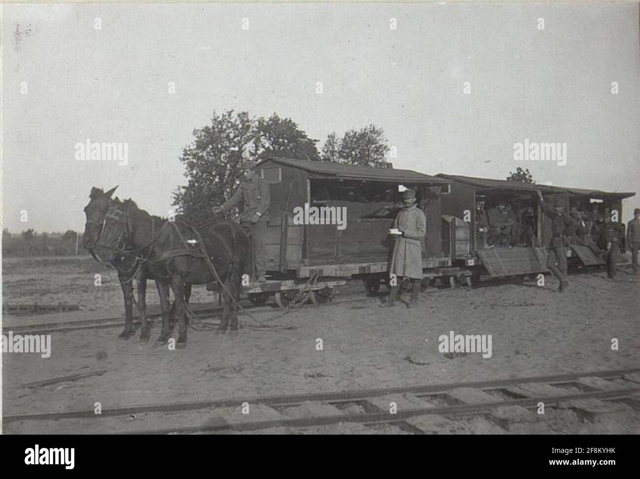 Trasporto di ricchi Mitts Horse Bath a Czernemoszno. Foto Stock