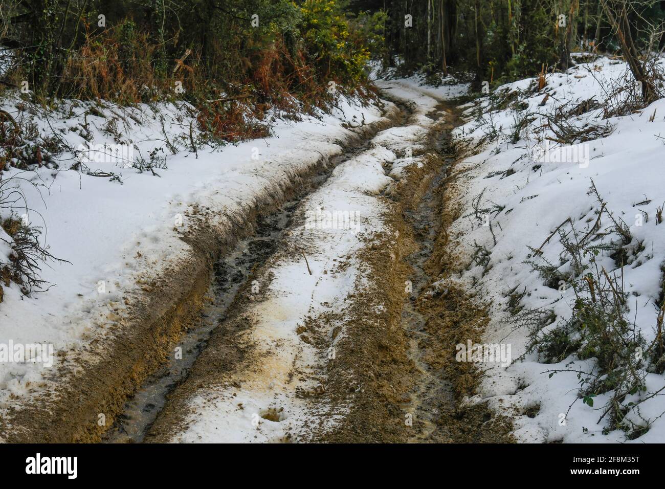 Ruote fuoristrada su una strada innevata Foto Stock