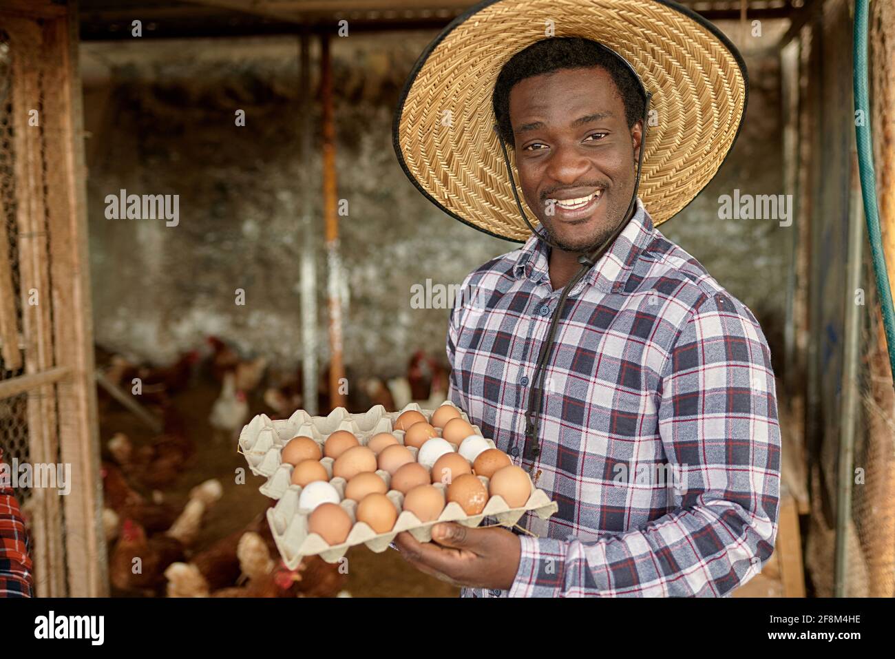 Felice adulto agricoltore africano maschio raccogliere uova biologiche in un Henhouse - stile di vita di fattoria e concetto di cibo sano - Focus sulla faccia Foto Stock