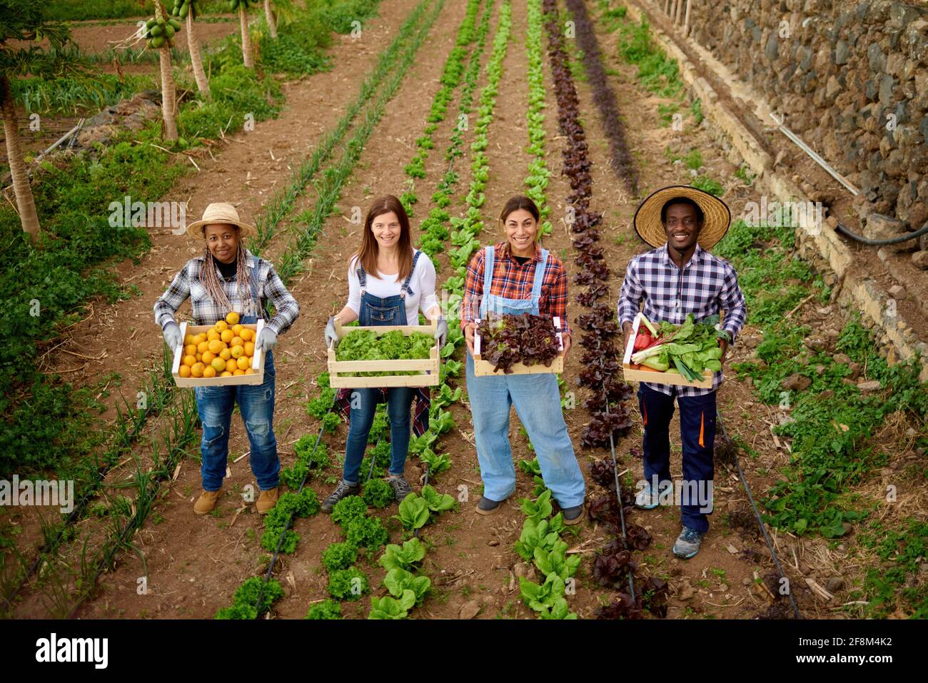 Persone di giardinaggio multirazziale che tengono scatola di legno di frutti organici raccolti E verdure - cibo sano e concetto di raccolta Foto Stock