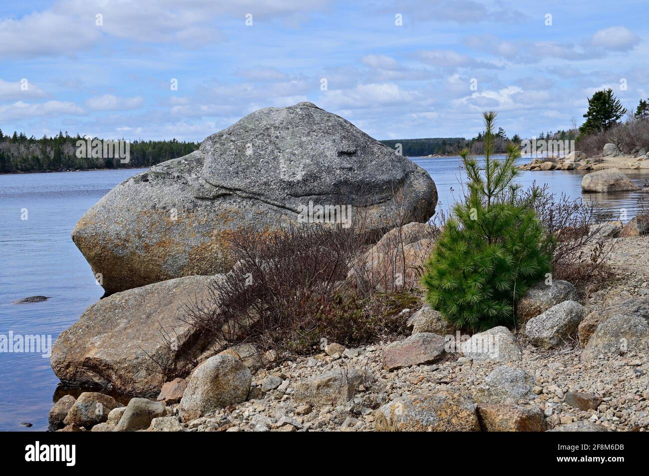 Rocce pini sul litorale di Long Lake. Nova Skotia, Canada Foto Stock