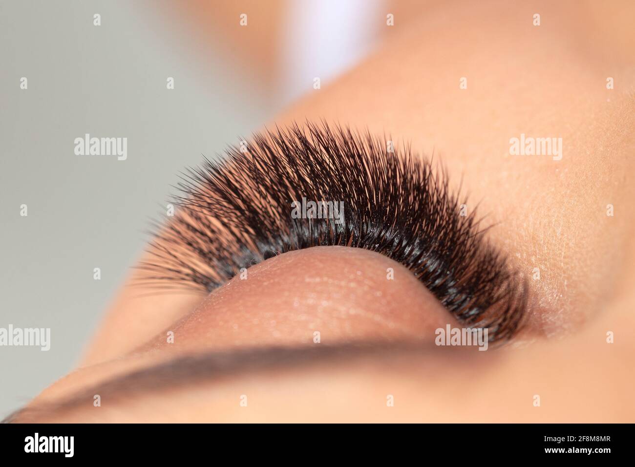 Bella Long Lashes. Trattamento dell'estensione dell'Eyelash. Occhi di donna con le ciglia artificiali false. Foto Stock