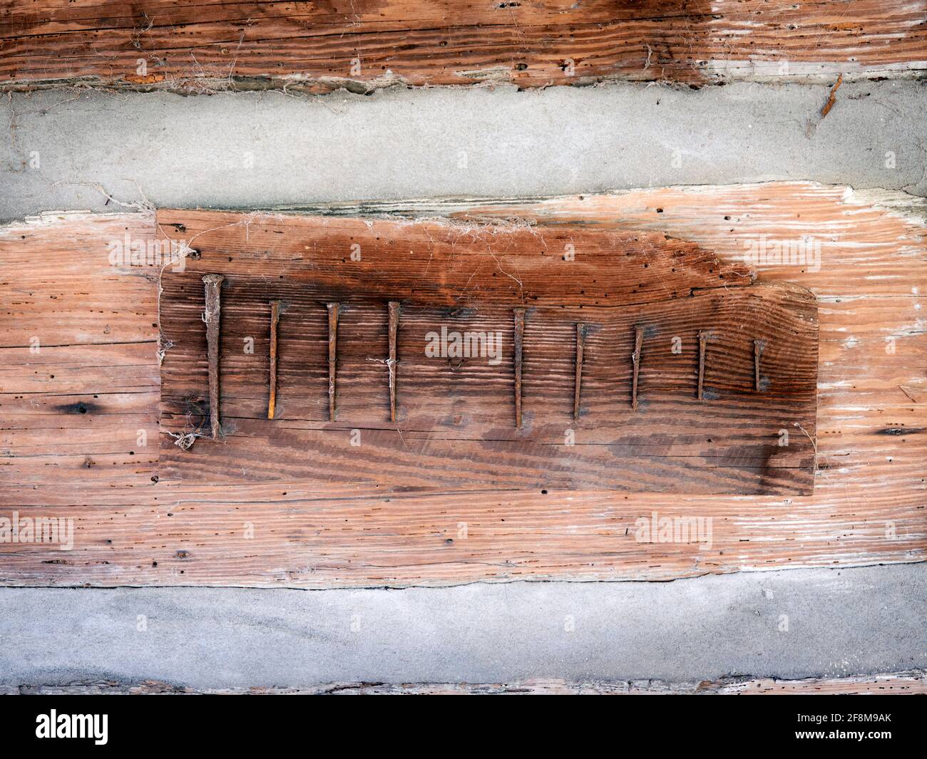 Esposizione di antichi chiodi in ferro fatti a mano, antichi e rustici  d'epoca Foto stock - Alamy