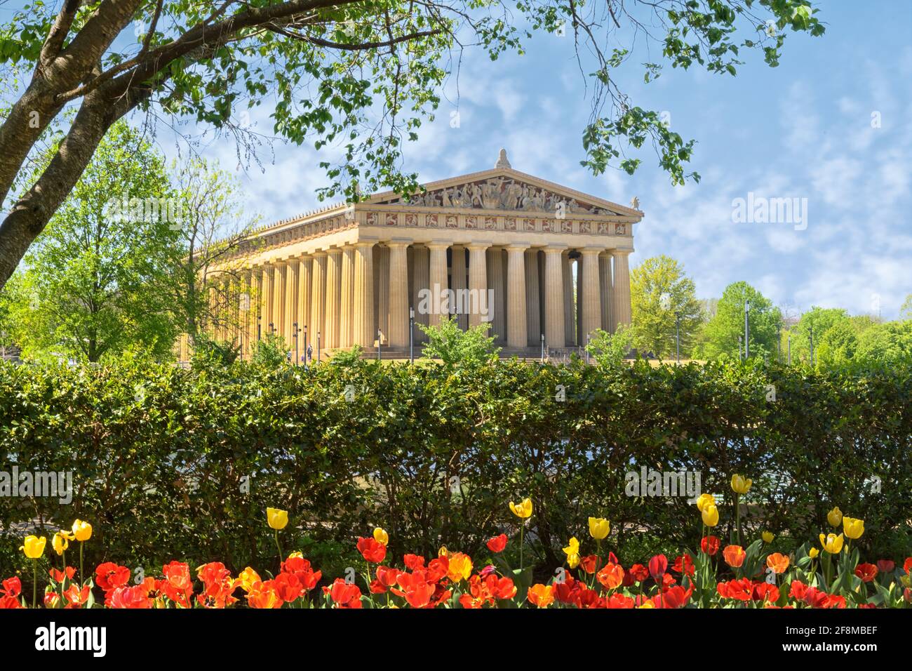 Partenone lato sinistro con tulipani in primo piano, Nashville, TN Foto Stock