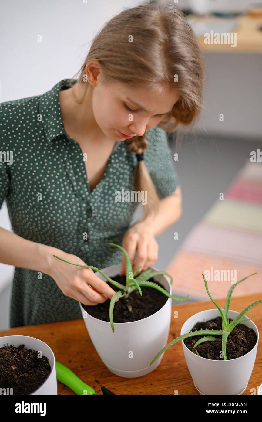 Ragazza trapiantando piante a casa in vasi bianchi Foto Stock
