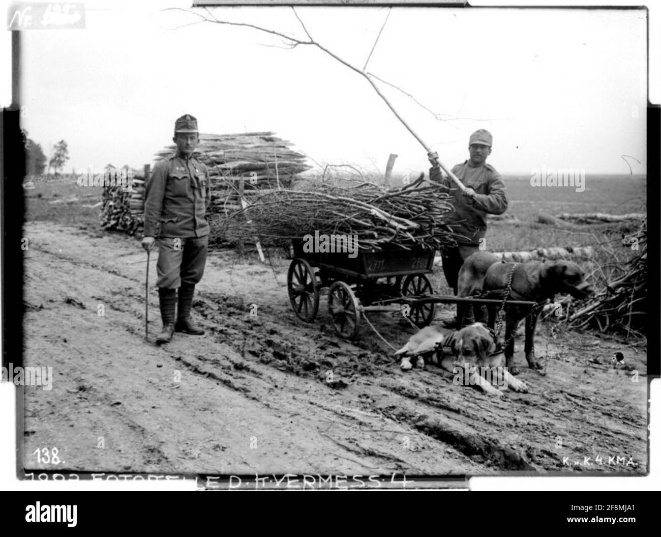 Trasporto di cani al lavoro a Krugy Russia, Volhynia; fotografo: Kriegsvermessung 4. Foto Stock