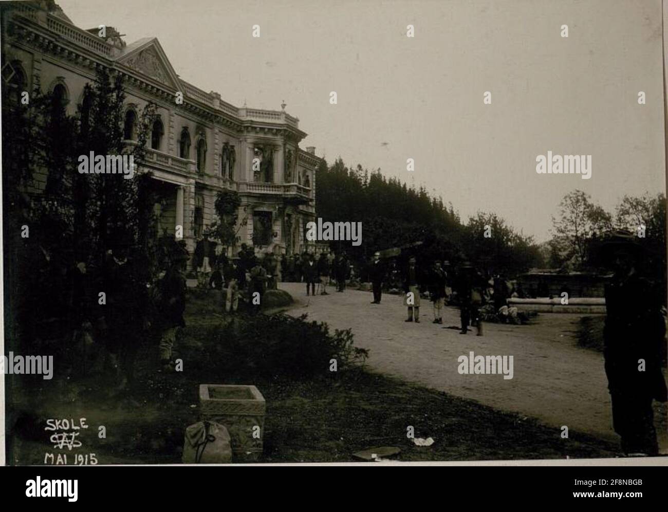 Castello bruciato, Skole. . Foto Stock