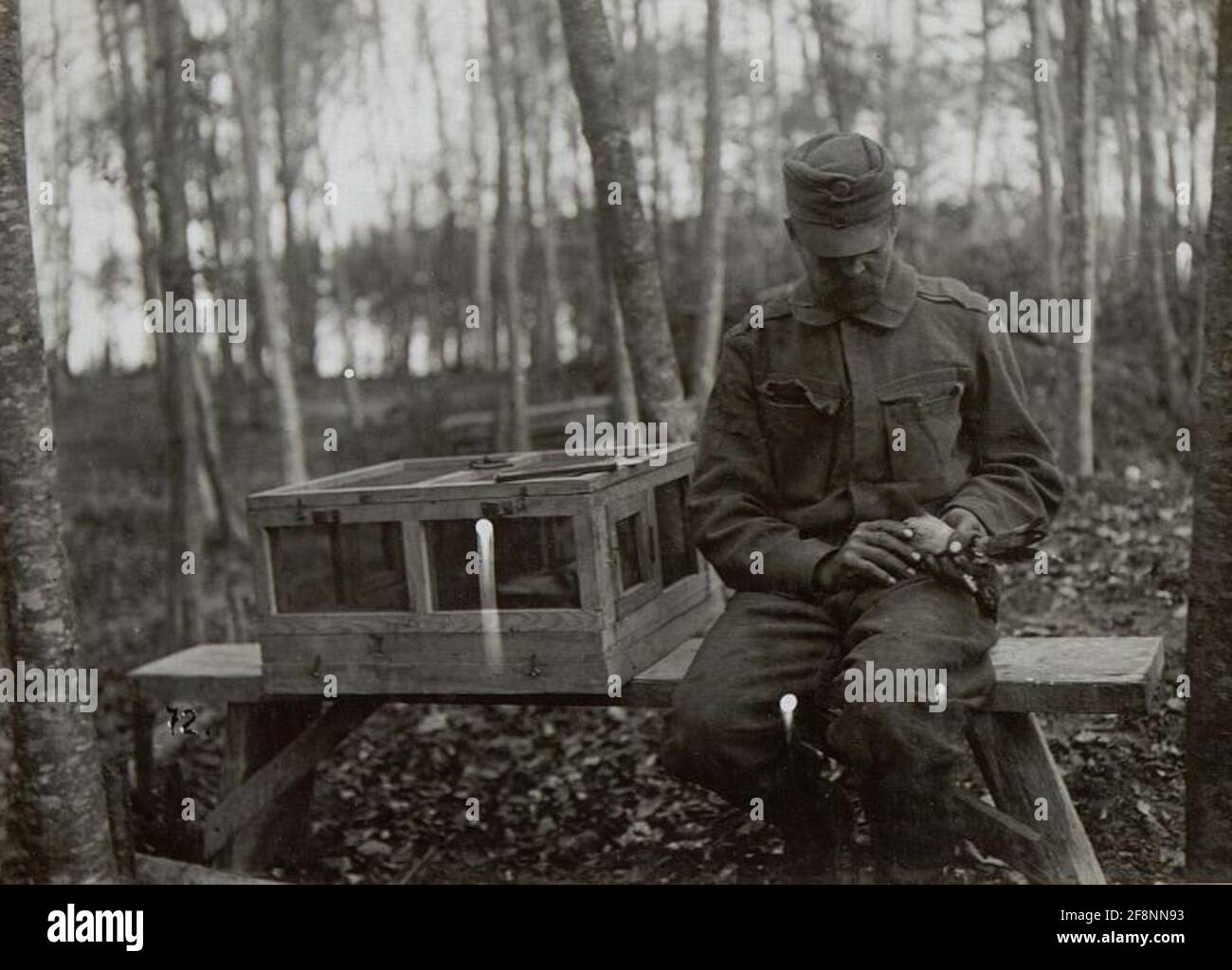 PAGINA DI SECCHIO BILD A 1/54. Foto Stock