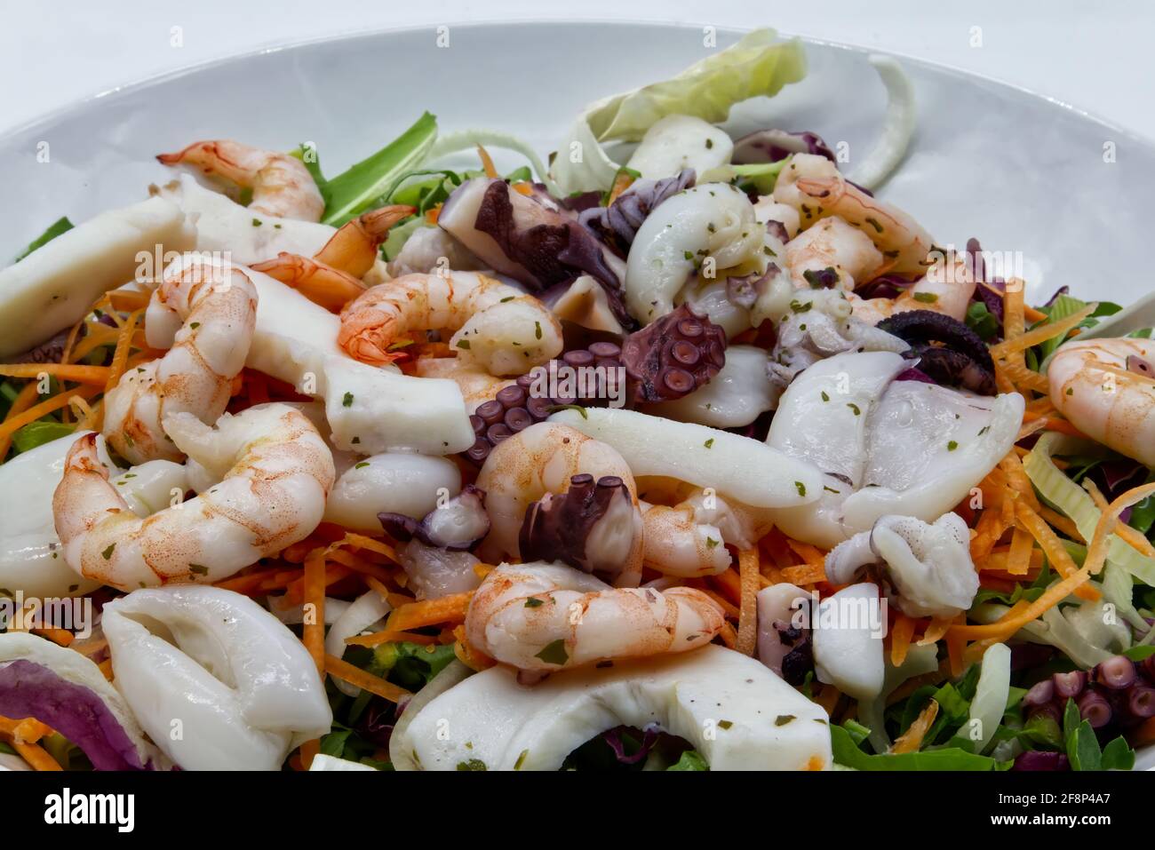 Insalata fresca di frutti di mare: Polpo, seppie, gamberi. Insalata di mare su piatto bianco. Primo piano Foto Stock