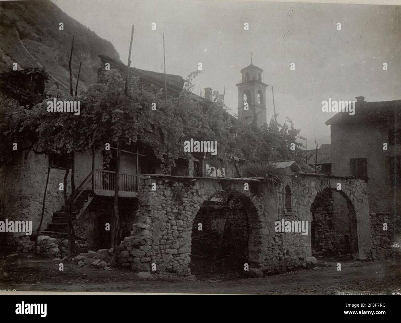 Specie. . Foto Stock