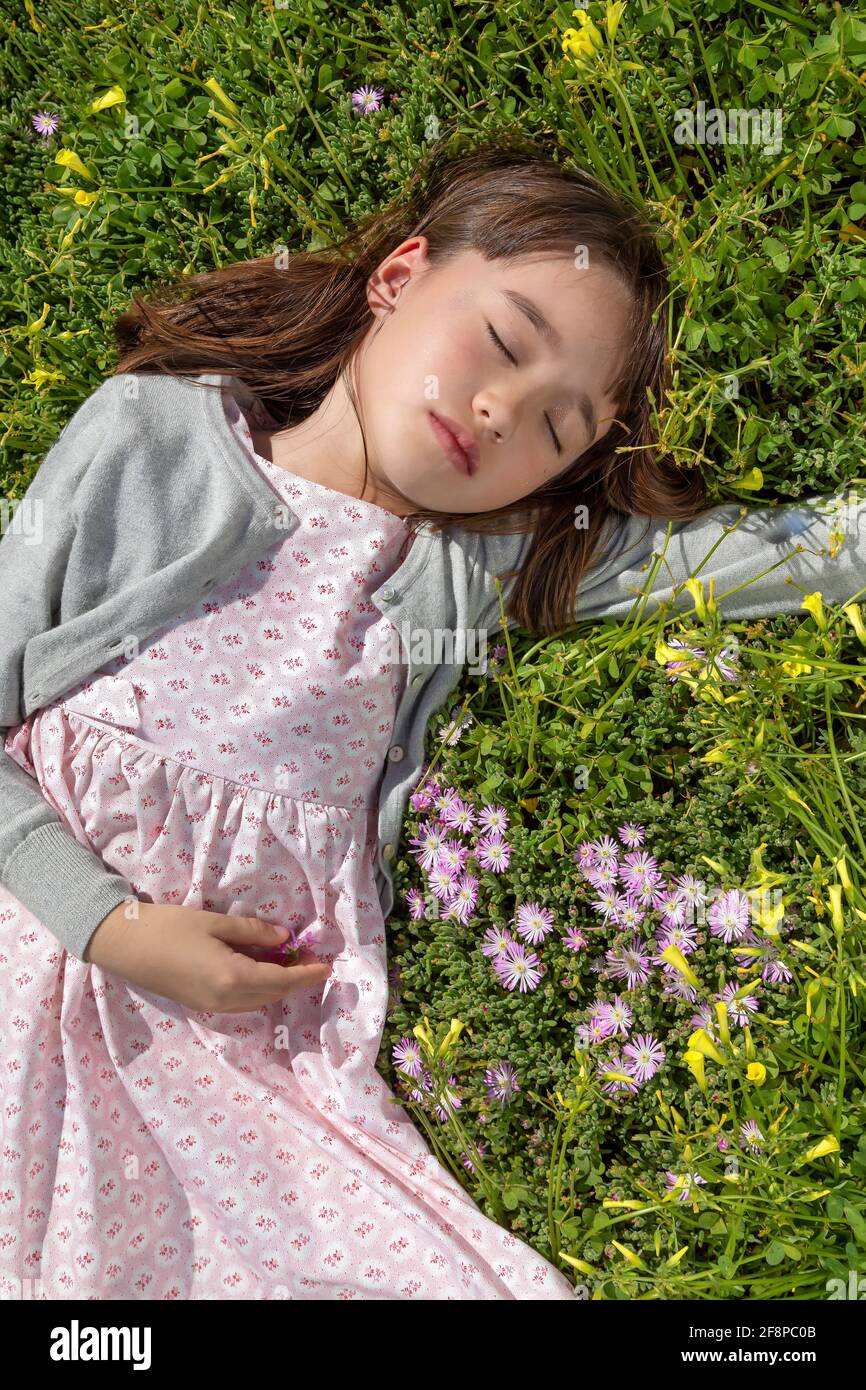 Ragazza di sette anni che si posa sul prato in fiore Foto Stock