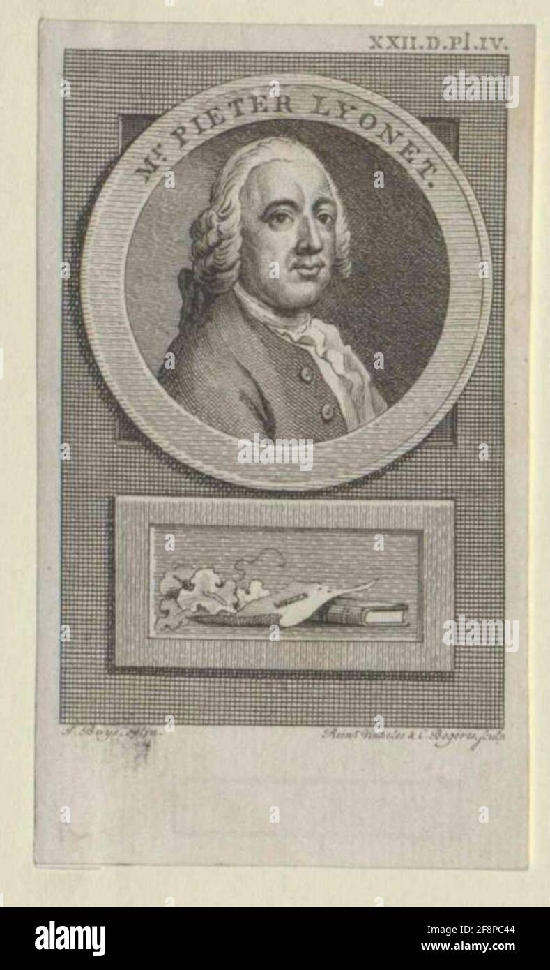 Lyonet, Pieter. Foto Stock