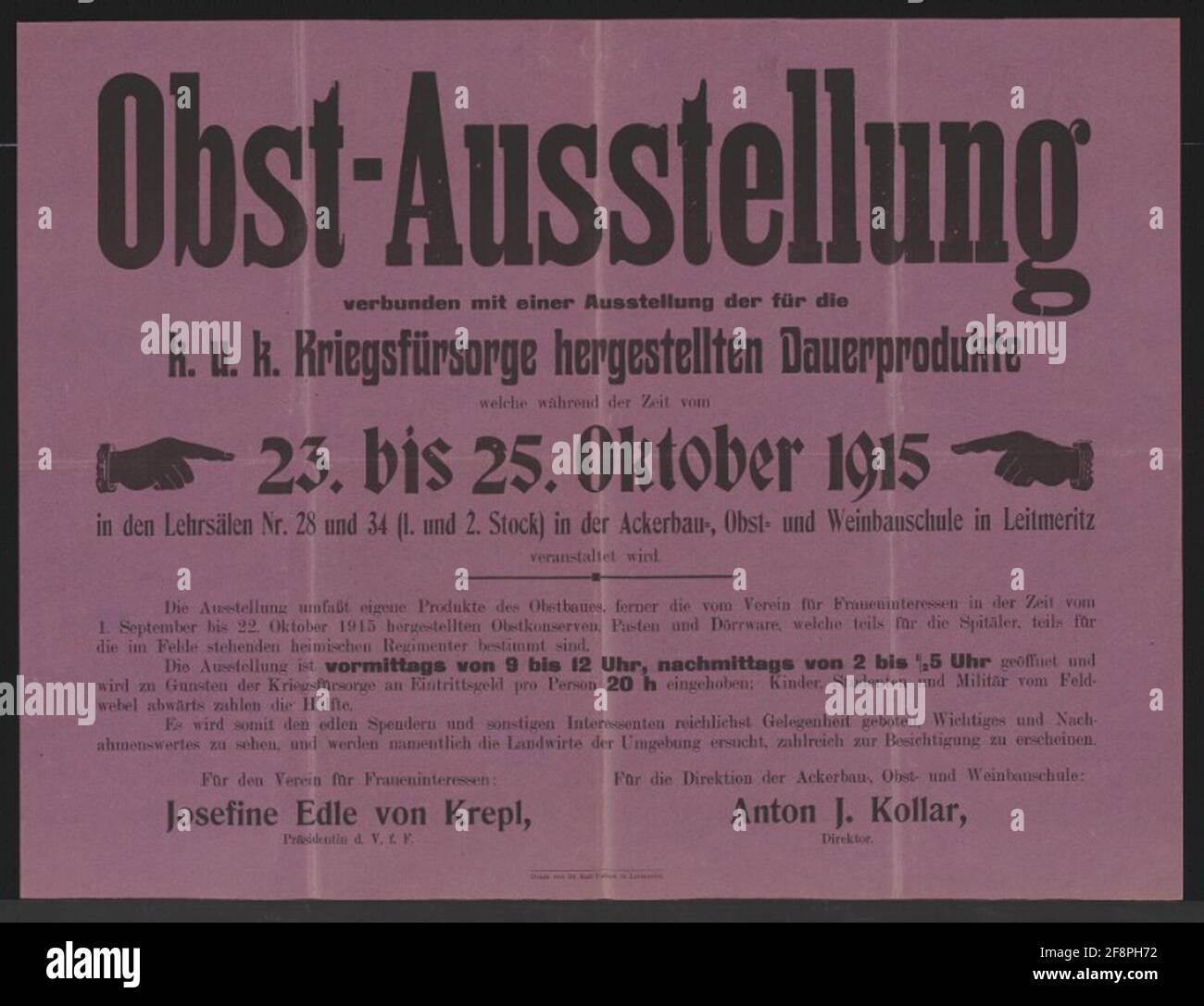 Mostra Fruit - dal 23 al 25 ottobre 1915 - Leitmeritz unita ad una mostra del K.U.K. Prodotti continui preparati per la cura della guerra - l'ammissione viene alla cura della guerra benefica - per il club per gli interessi femminili: Josefine Noble von Krepl - per la gestione della costruzione agricola, della scuola di frutta e vigneto: Anton J. Kollar Foto Stock