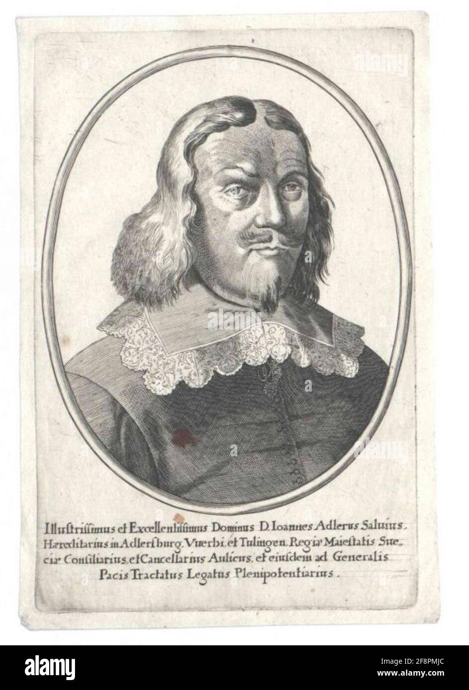 Adler Salviua Johan. Foto Stock