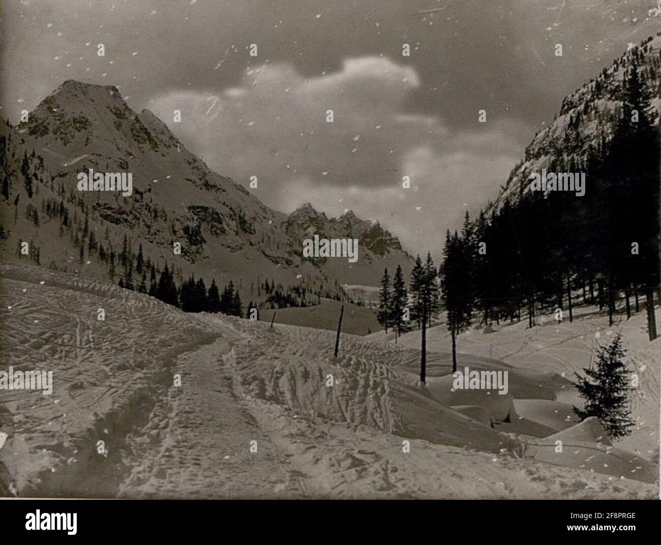 Grande cardinale e piccolo Cauriol. Foto Stock