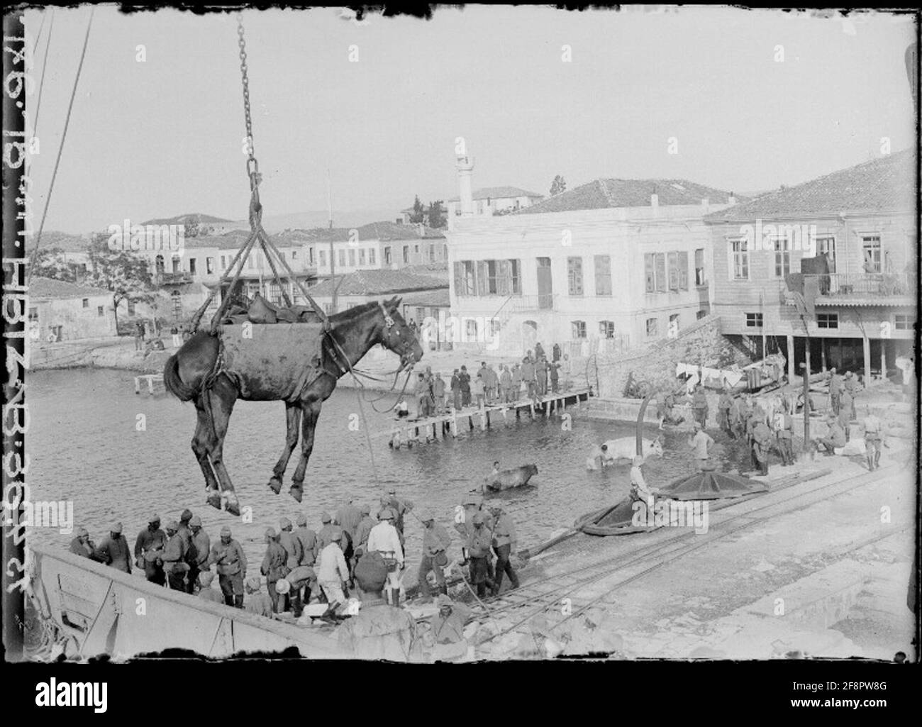 Tschanak Kale scaricare un cavallo; Tschanak, Kale, Turchia; fotografo: Hubitzenbatterie 15 cm. Foto Stock