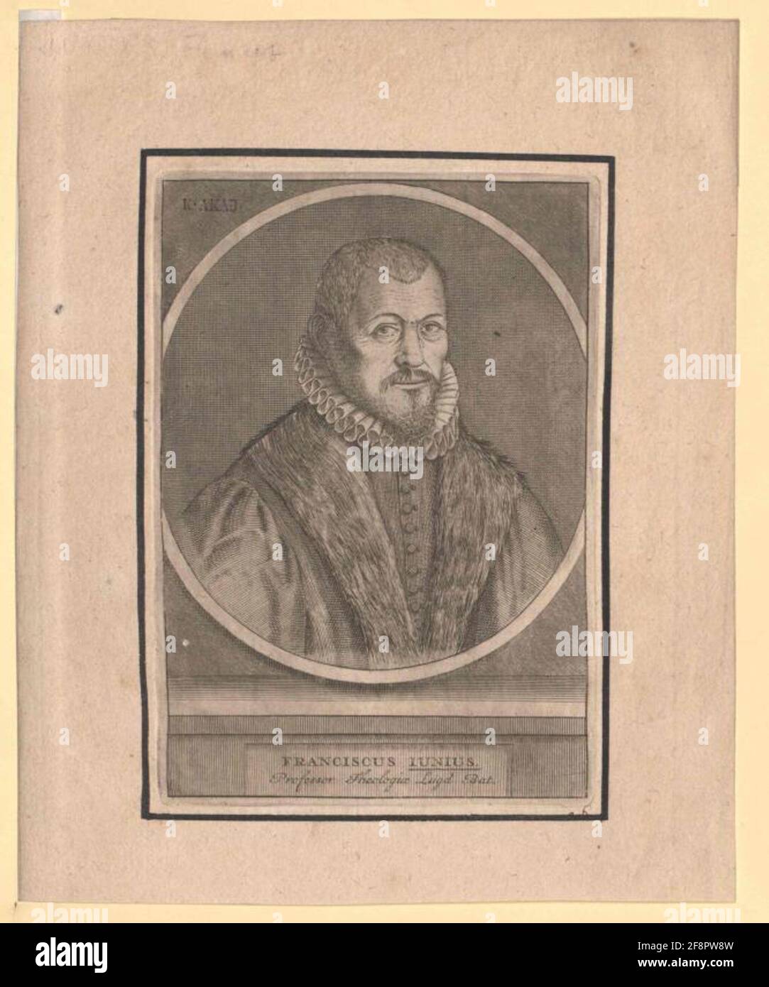 Giugno Francesco. Foto Stock