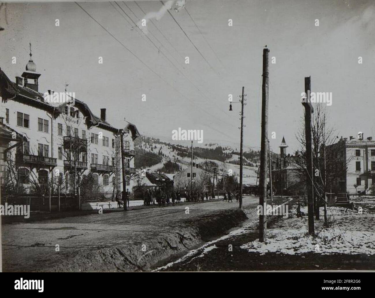 Dorna Watra (Romania) immagine della pietra da rinoceronte. Foto Stock