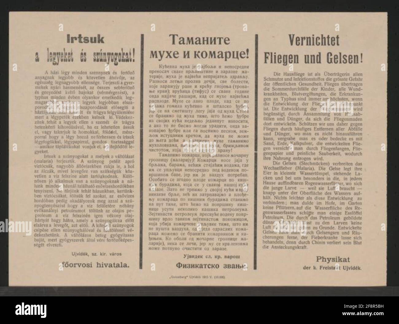 Distruzione Flying e Gelsen! - Neusatz - poster multilingue volare e gel come un trasferimento di malattie - occorrenze e misure contro lo sviluppo di insetti - Physikat del K. Freistadt Ujvidék Foto Stock