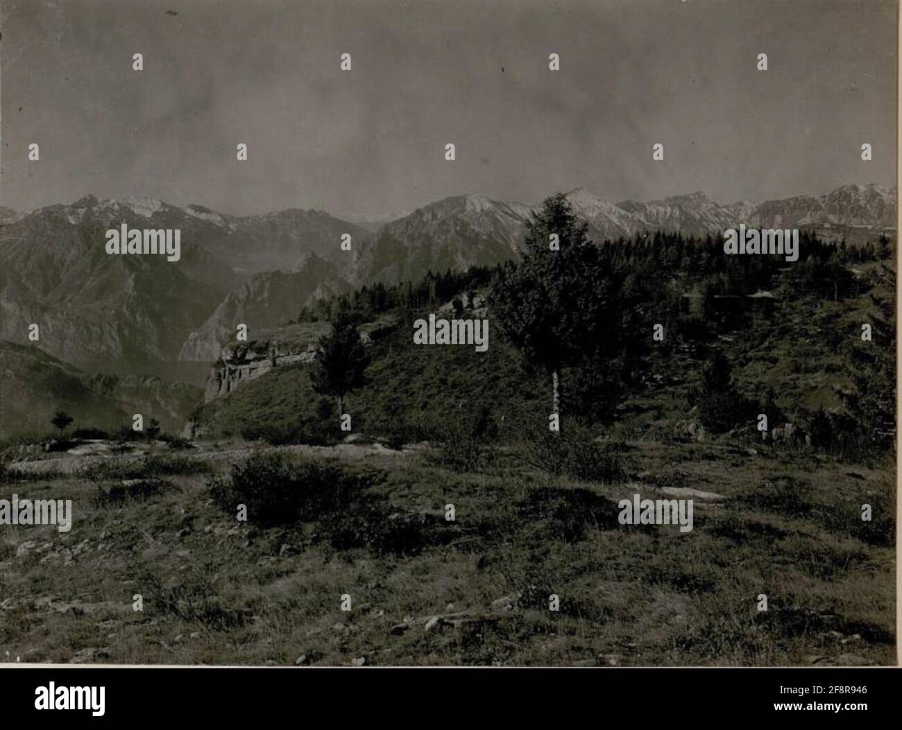 War album 44, Figura 12231b. Foto Stock