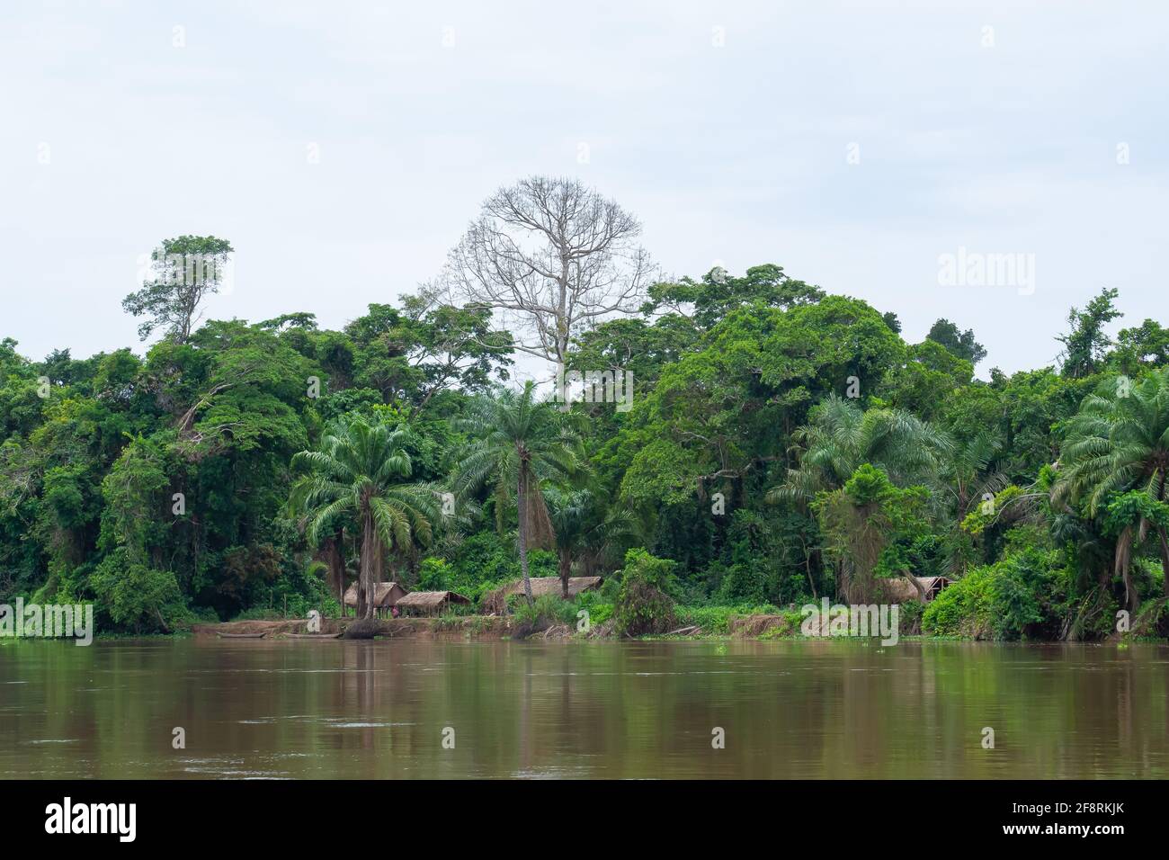 Calma nel villaggio, fiume Congo, Repubblica Democratica del Congo Foto Stock