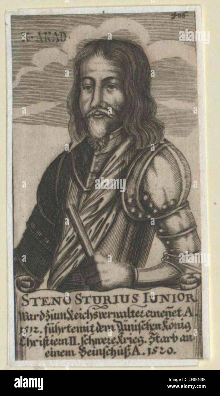 Stur, Steno. Foto Stock