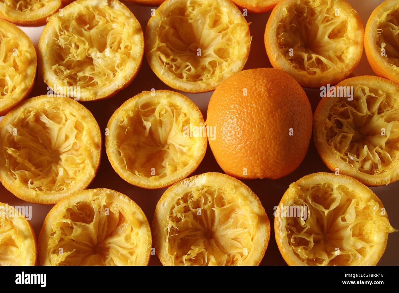 Arancio (Citrus sinensis), bucce d'arancia schiacciate Foto Stock