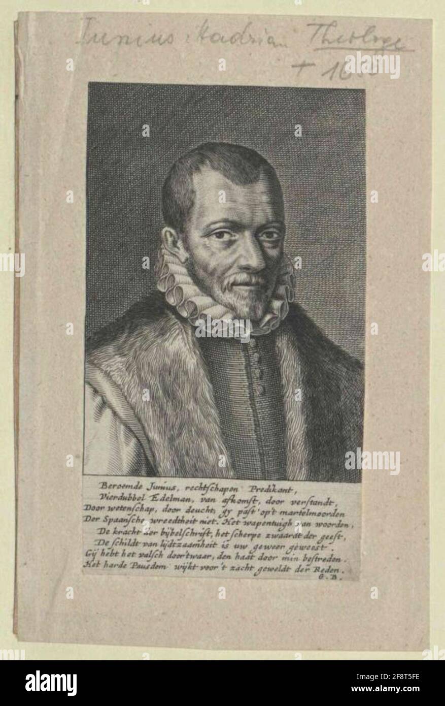 Giugno Adrian. Foto Stock