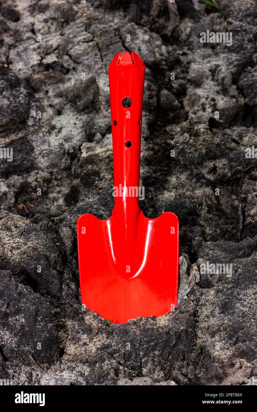 Lavorazione di suolo nero. Una lama rossa da giardino sporge dal suolo nero. Foto Stock