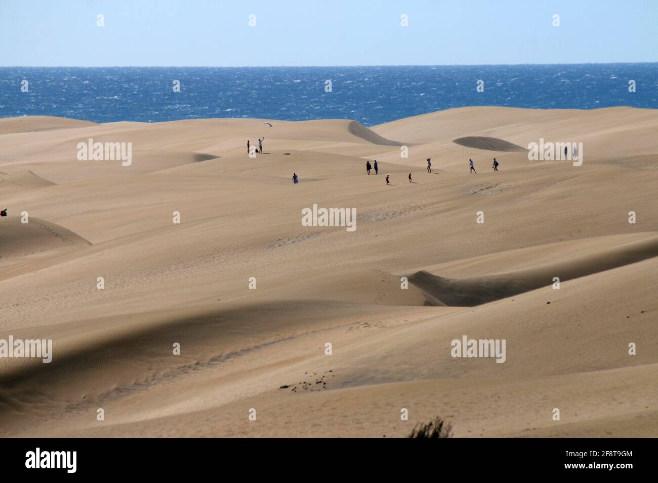Impressionen: Atlantik, Duenen von Maspalomas/ Playa del Ingles, Gran Canaria, Kanarische Inseln, Spanien/ Impressions: Oceano Atlantico, dune di Maspa Foto Stock