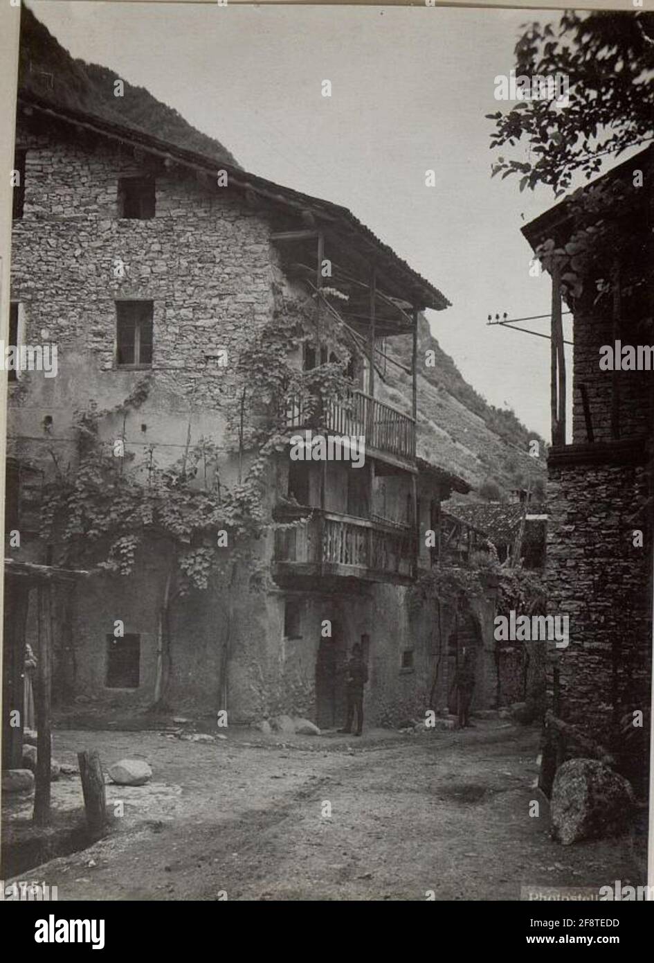 Specie. . Foto Stock