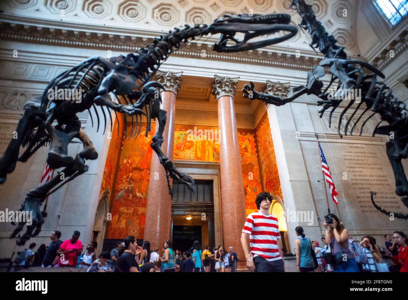 Tra i visitatori un Barosauro protegge i suoi giovani da un Attaccare Allosaurus nella sala d'ingresso del Museo Americano Di Storia Naturale a Manhat Foto Stock