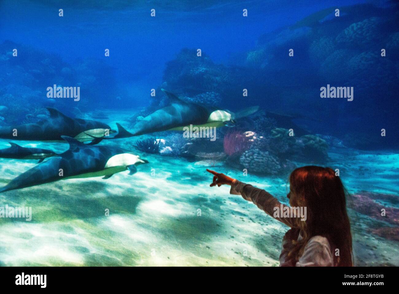 Una ragazza all'interno della mostra 'National Geographic Encounter: Ocean Odyssey' in piedi di fronte a una foto di una balena virtuale, che si muove a seguire Foto Stock