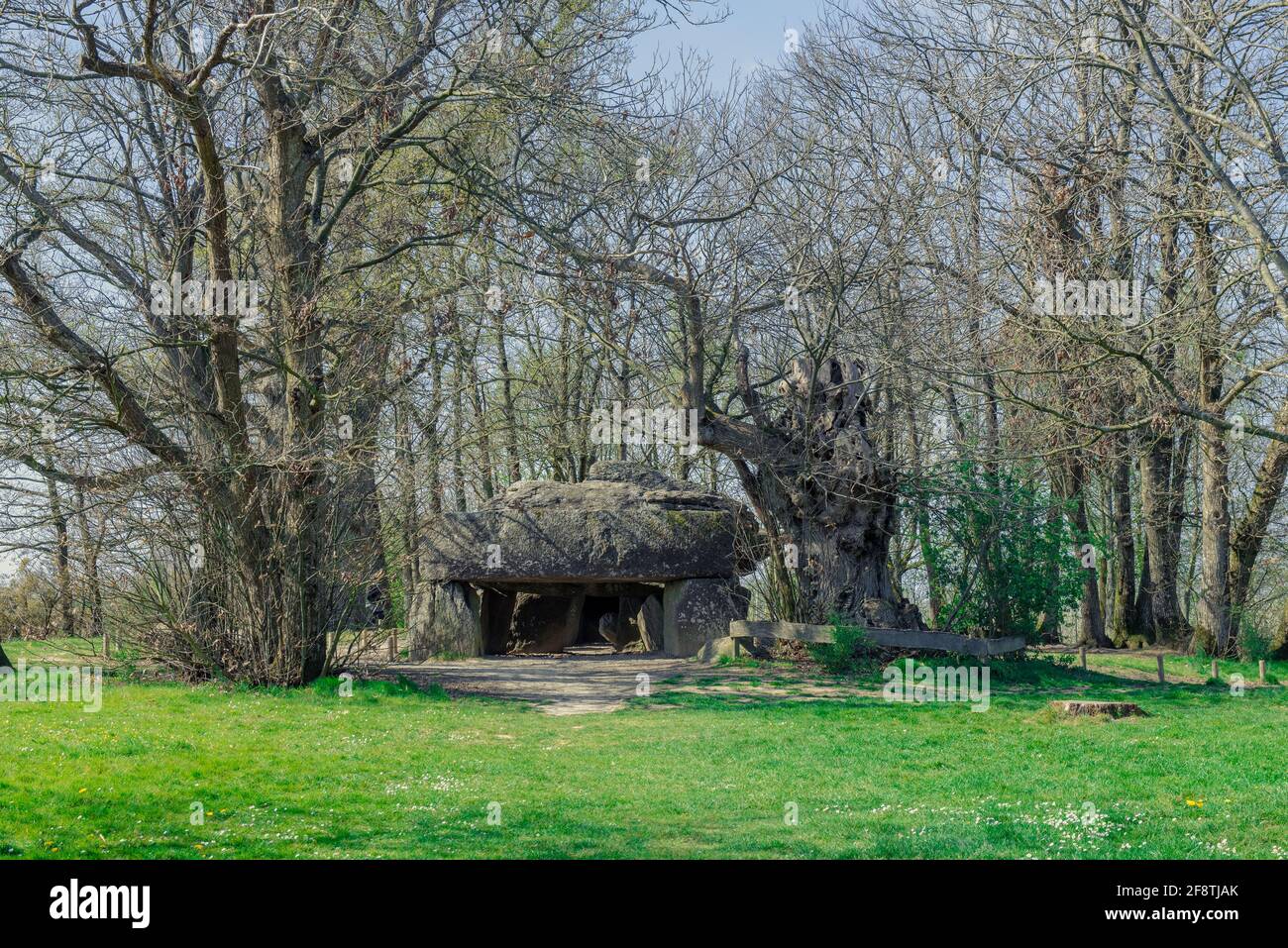 Millenial dolmen di la roche aux tasse in Bretagna Francia Foto Stock