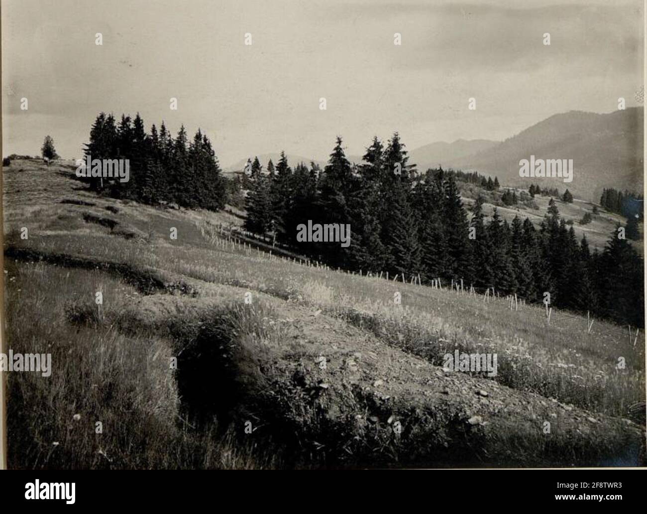Posizione russa alla libochora. Foto Stock