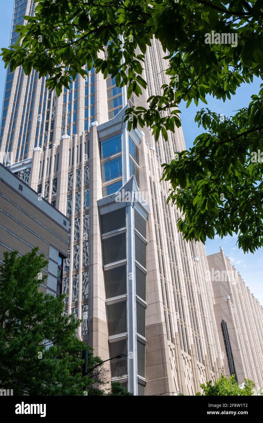 Cielo blu chiaro e fogliame che incorniciano l'edificio degli uffici del raschietto del cielo a Charlotte North Carolina, USA con spazio negativo per la copia Foto Stock